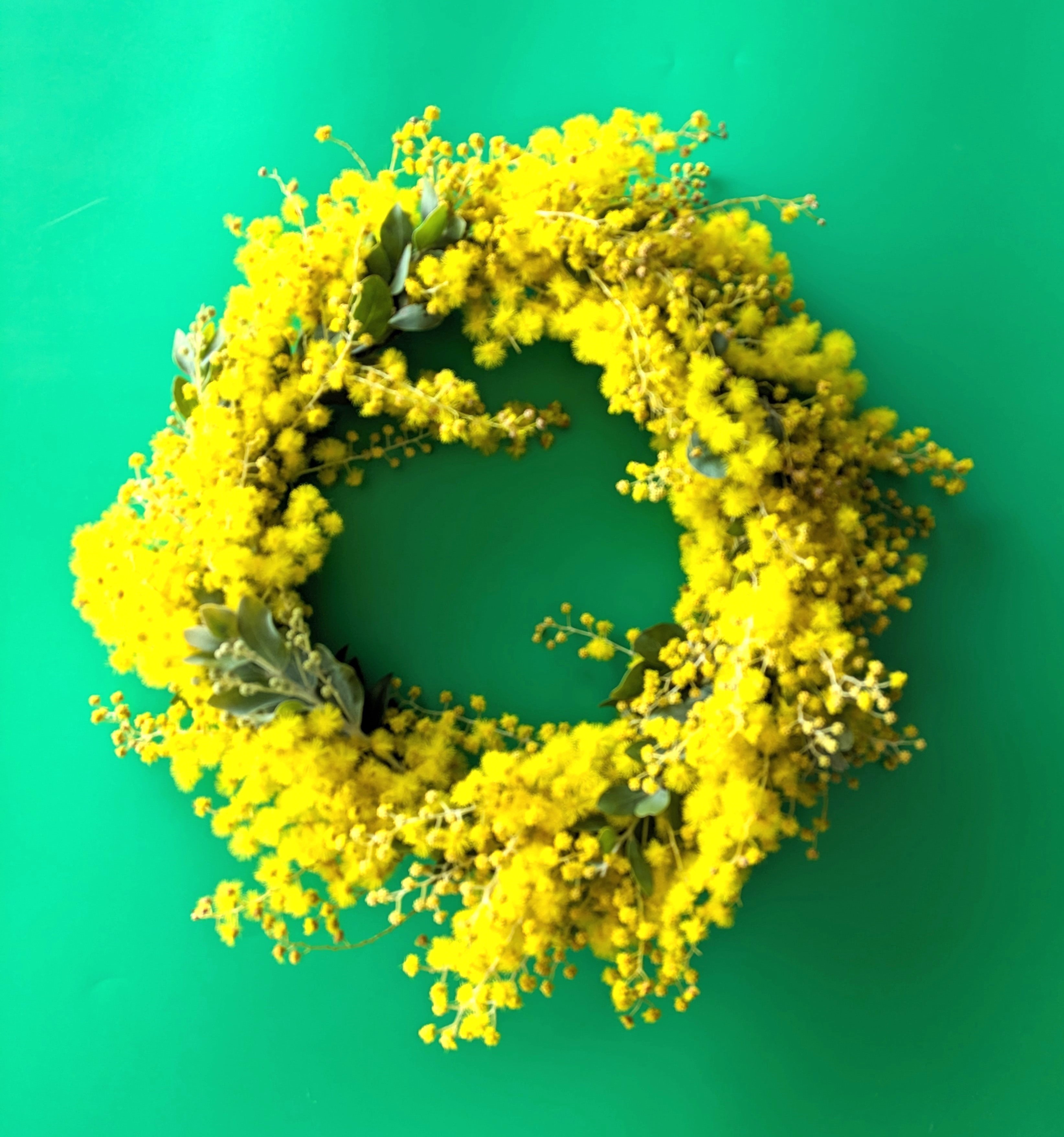 ミモザリース作り体験３月2日から開始します