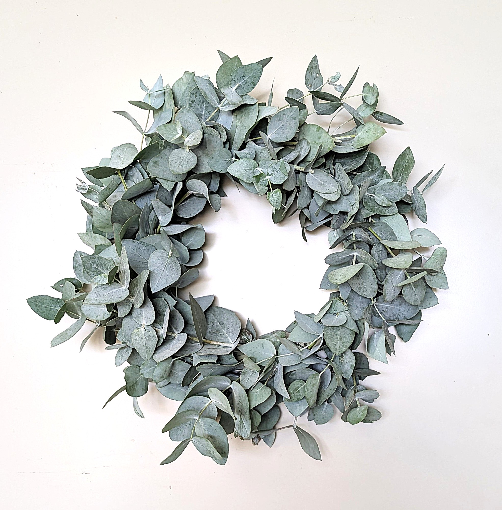 ハーブ等リース・スワッグ作り体験